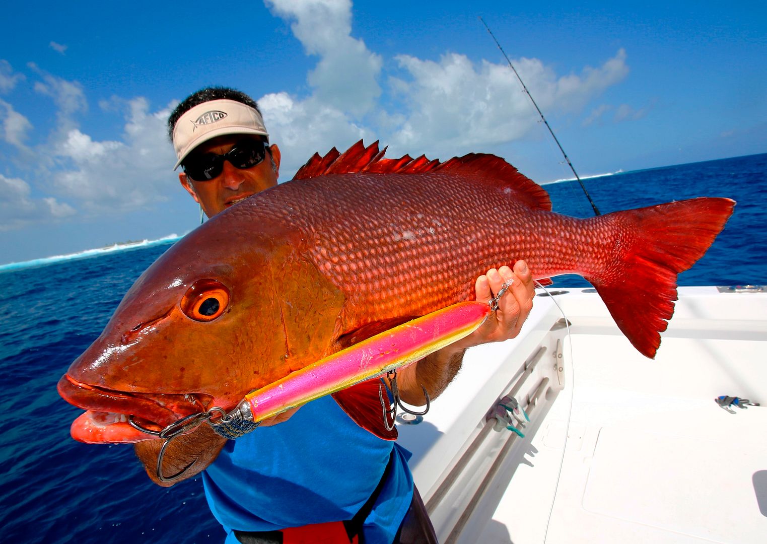 French Polynesia ( Tahanea, Motutunga, Tepoto ) Dec 2013 BASS BARN